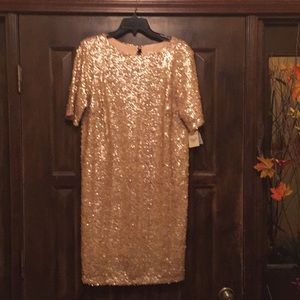 Fancy sequin dress